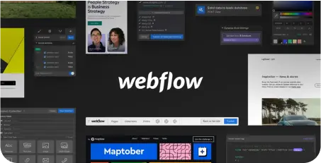 webflow-development