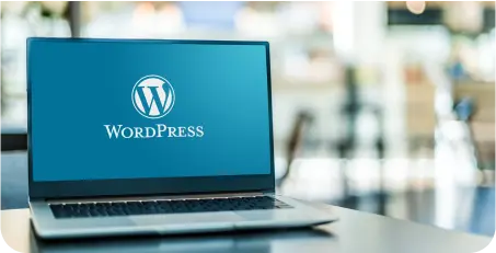 wordpress-development